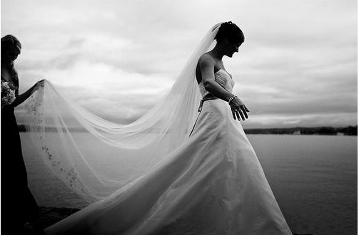Show me your cathedral length veil :  wedding cathedral length veil veil accessories Veil