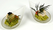 Plastic for a tapas reception? :  wedding Caterer 4
