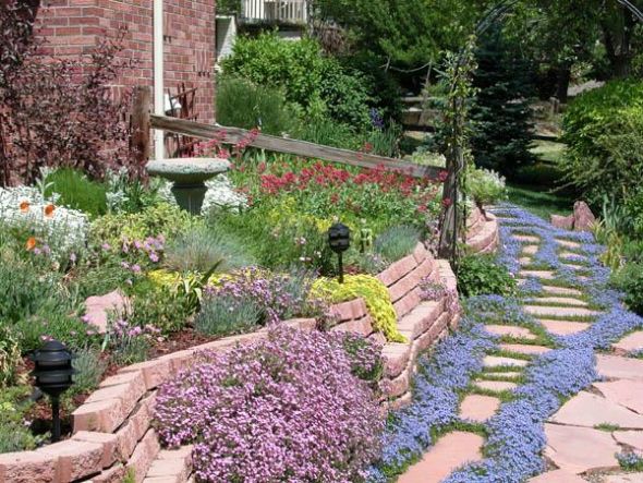 Homeowner question: ripping out the lawn :  wedding Xeriscape Colorado