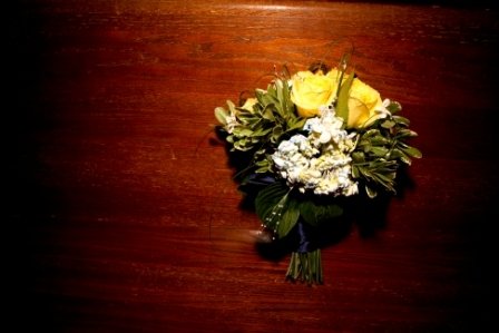 Finding blue flowers is hard to do...