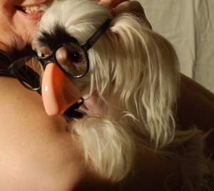 Is anyone doing a DIY Photobooth? : wedding photobooth reception CalvinMustache