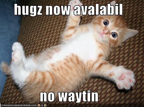lolcat_hugs.jpg