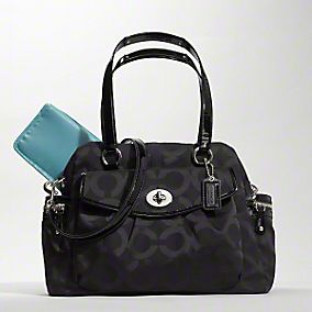 Must Have Baby Gear!! :  wedding CoachAddison