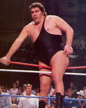 None of that Tarzan Sh*t :  wedding Andre The Giant