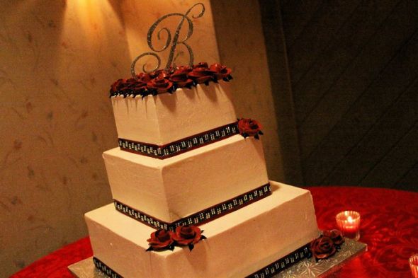 I'm finally giving you pro pics to look at......pic overload!! :  wedding 1.41