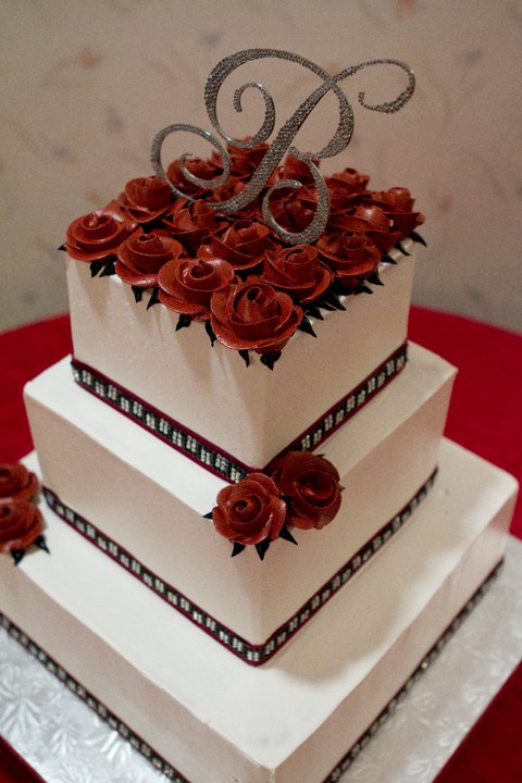 I'm finally giving you pro pics to look at......pic overload!! :  wedding 1.42