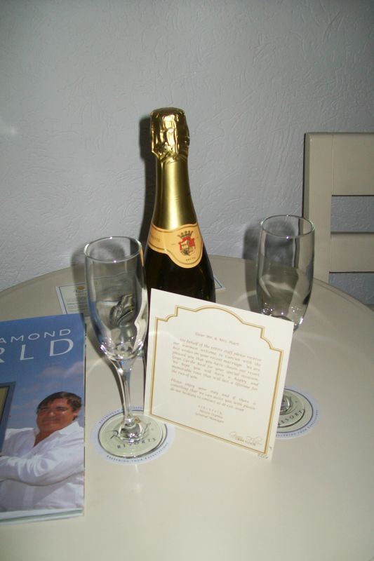 Okay so I got married on June 19th & I'm back with photos!! : wedding Honeymoon 013