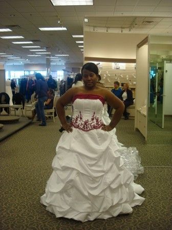 David's Bridal Gowns...who has one? :  wedding davids bridal full figured 1 budget Me In My Dress 1
