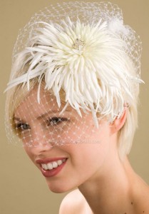 White winter flowers??? : wedding flowers winter wedding black and white decor White Birdcage Veil White Spider Mum Clip