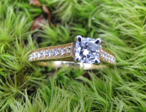 Our Proposal