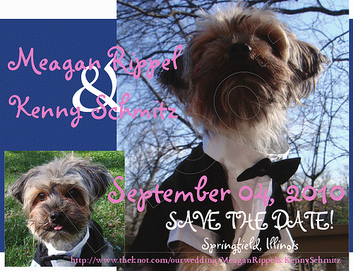 our save the dates!
