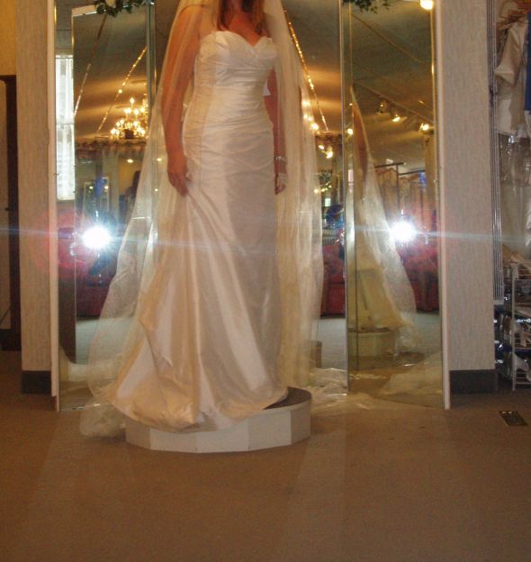 Paloma Blanca brides? :  wedding Paloma Blanca 3906 Me With Veil