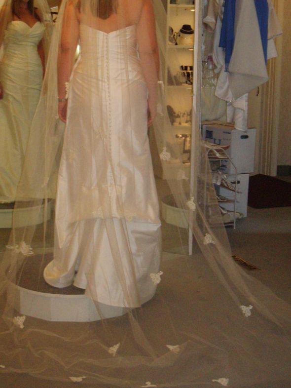 Paloma Blanca brides? :  wedding Paloma Blanca 3906 Me With Veil Back