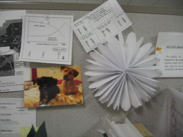 Post a pic of something that represents you! :  wedding Desk And Pillows 002