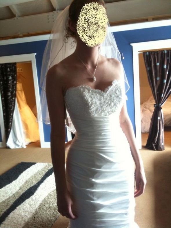 Show me your dresses with Ruching please. :  wedding Dress Close Up