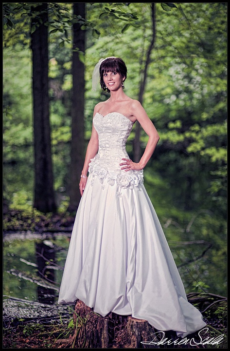 petite brides...lets see that dress!!!:) : wedding dress petite brides DSP0105 Crop2