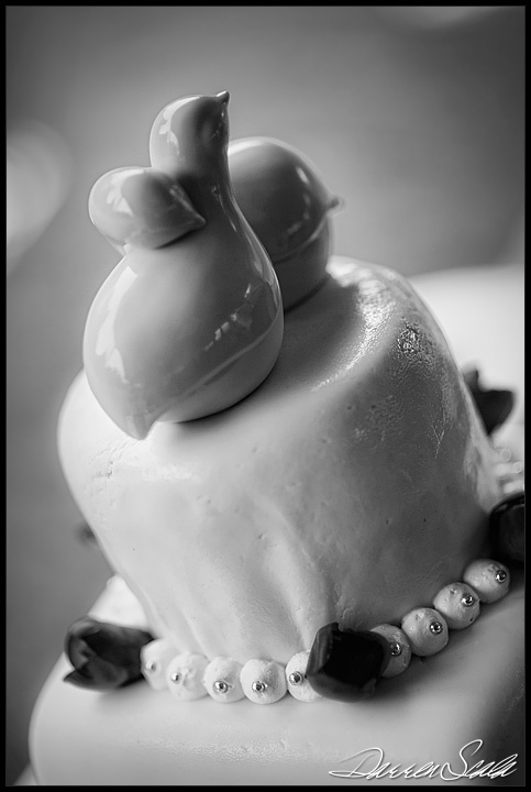 Pro Pics - Teaser album... GORGEOUS! :  wedding  DSP0179