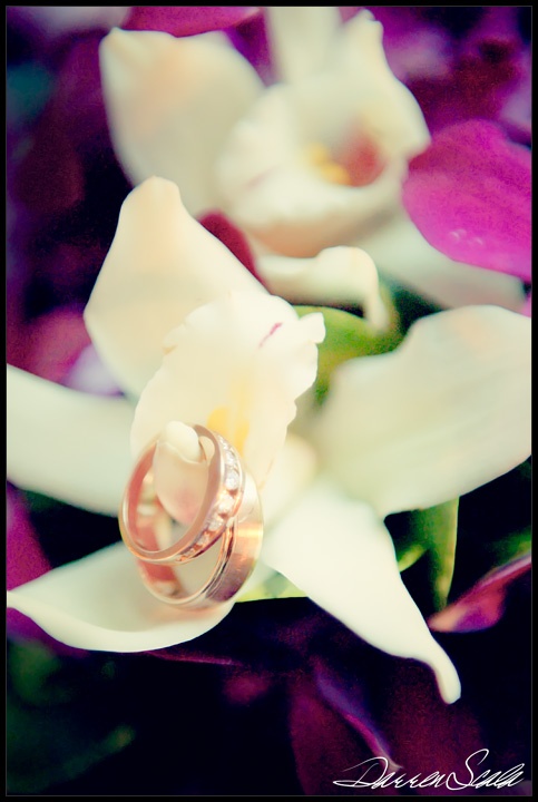 Show Off Your Husband's Wedding Band! (Please...) :  wedding  DSP0597