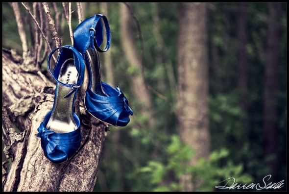 Pro Pics - Teaser album... GORGEOUS! :  wedding  DSP9372