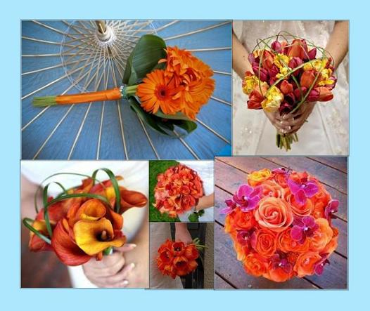 Initial Inspiration Boards