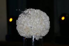 For sceeder Carnation Balls!!! :  wedding carnation ball Closeup11