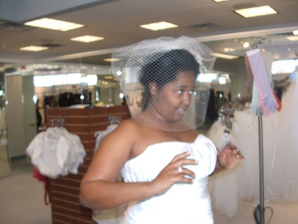 Looking for photos of designer birdcage veils :  wedding veil birdcage veil Dress Shopping 045