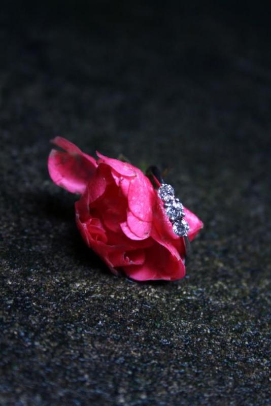 Let's See Your Ring Photo Shoot! :  wedding Ring1