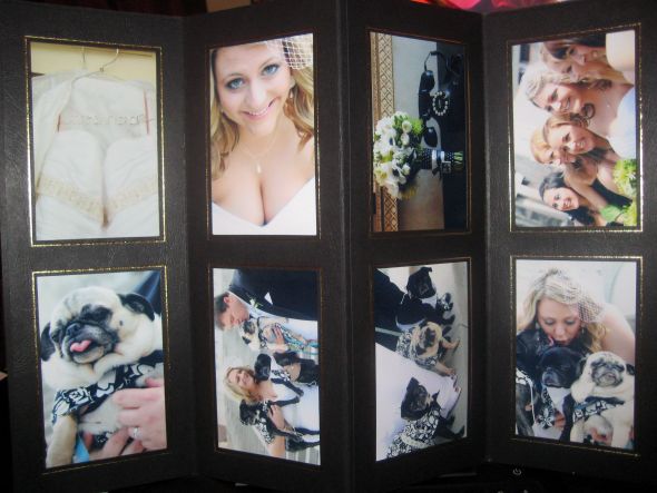 I'm Married!!! (Really hard not to do all caps and twenty !'s) :  wedding married wedding pugs IMG 7490
