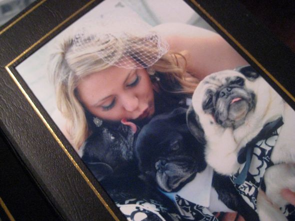 I'm Married!!! (Really hard not to do all caps and twenty !'s) :  wedding married wedding pugs Folio2