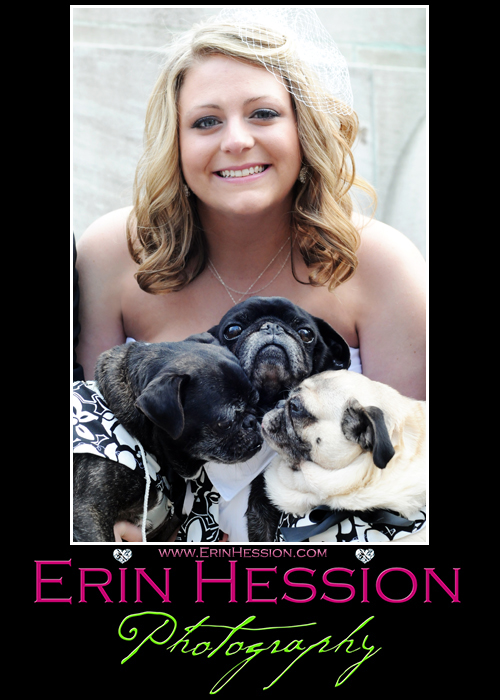 Lets show off our pets! : wedding Meandpugs