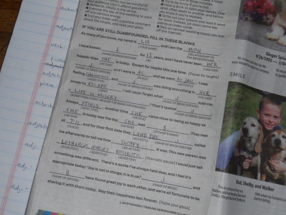 Weddin Reception Mad Libs :  wedding reception ideas mad libs DSCN0123