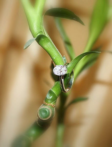 Reader Ring Shots 2010, Part 7 :  wedding features rings Ringshot ringshot 
