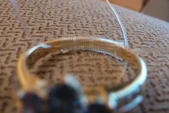 Fun!! Ring scavenger hunt! (pic heavy) Join in! :  wedding fun rings scavenger hunt photography Z7