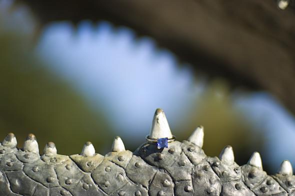 A Sapphire to remember...