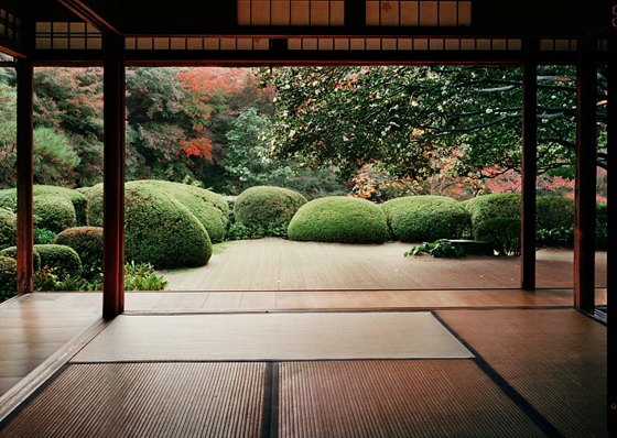 Japanese Backyard Gardens