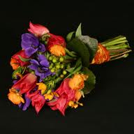 flowers for eggplant/champagne color scheme : wedding Images 1