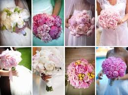 Who had peonies? How much did they cost? :  wedding Images
