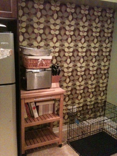 what color is your kitchen? :  wedding Photo1