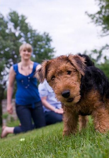 QT with pup? : wedding quality time Pic6