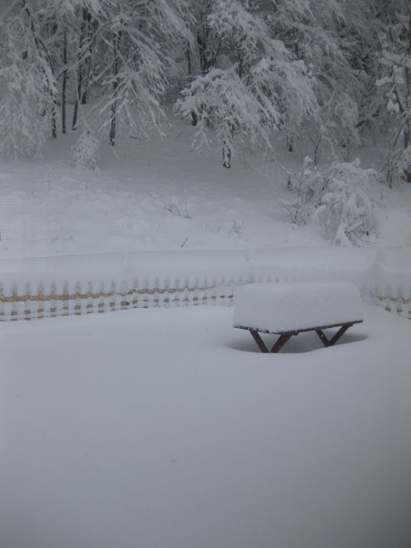 Snowpocalypse :  wedding IMG 0577