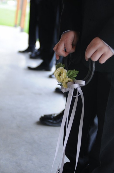 Ponies! :  wedding RB1