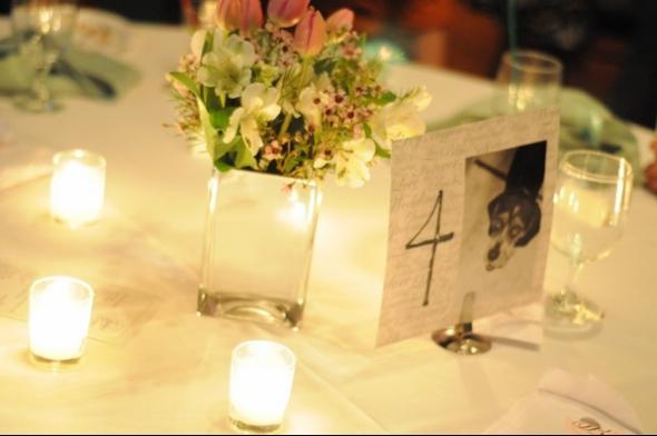Centerpieces