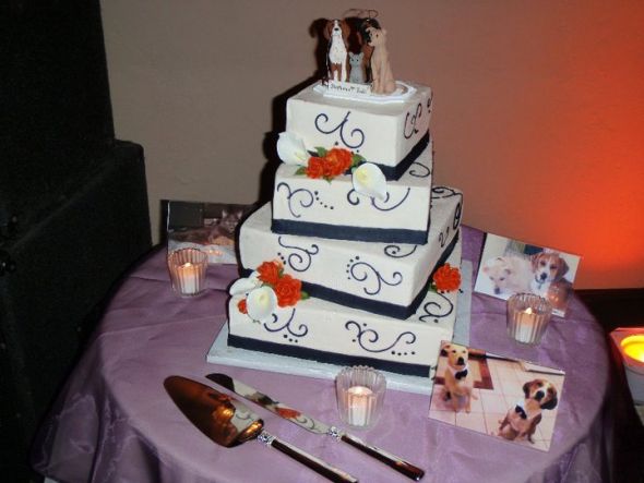 For NOT THAT INTO ALL THIS : requested photos enclosed. :  wedding 37955 10150302998935582 887310581 15362228 3767154 N