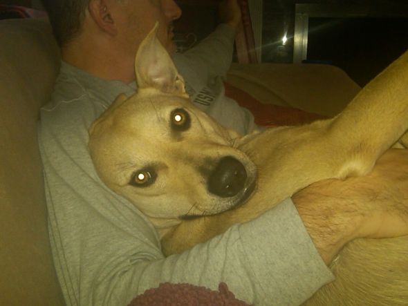 My dog could've died and vet told me not to worry about it. (kind of long) :  wedding Boris2