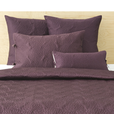 What color walls go with purple bedding? :  wedding Bedding