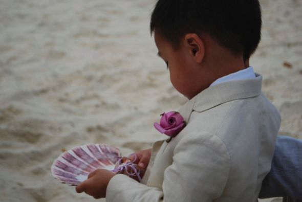 Original Ring Bearer Pillow Ideas :  wedding ring bearer 28613 405092692726 524377726 4869353 2589240 N