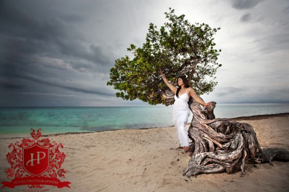 Trash the dress pics are in!! :  wedding Aruba Beach Wedding Photographer Photography Destination Filipino Divi Tree Bride Eagle Beach 
