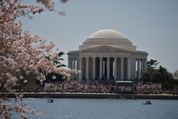 Trip to D.C...advice? :  wedding DSC 0353