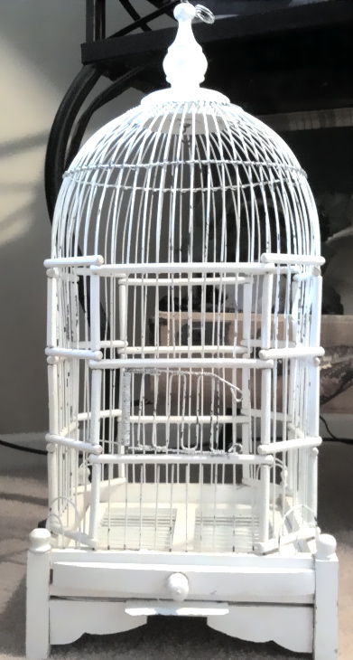 Shabby Chic/Vintage Birdcage Cardholder!!!! : wedding Securedownload 13 2 2 Gorgeous Large White *BIRDCAGE* Cardholder : wedding Securedownload 13 2 2 Gorgeous Large White *BIRDCAGE* : wedding Securedownload 13 2 2