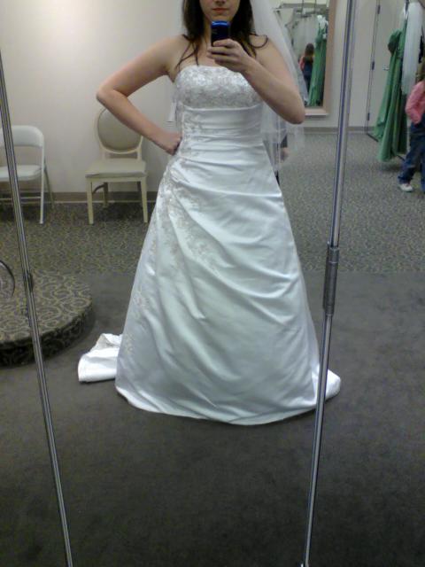 David's Bridal Gowns...who has one? :  wedding davids bridal full figured 1 budget 101009 160901